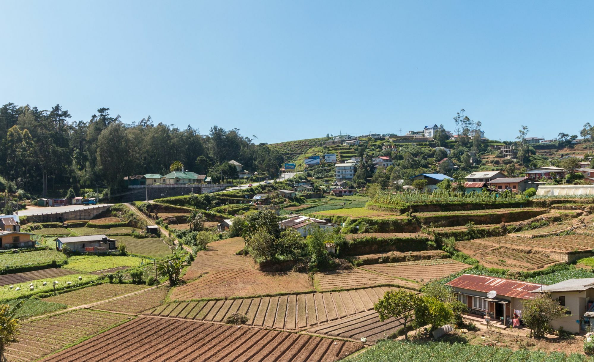 Aaradhya Villa Nuwara Eliya Exterior foto